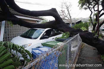 Kokua Line: How do we know if food, cars are safe after storm?