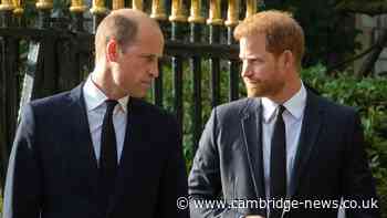 Prince William 'smouldering inside' at Prince Harry after 'feeling betrayed'