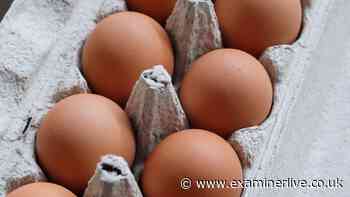Egg warning as one dead in salmonella outbreak with cases high in Yorkshire
