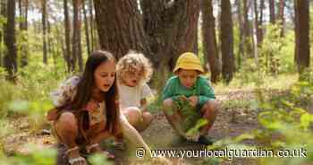 Parents urged to help children unplug from screens and enjoy device-free summer