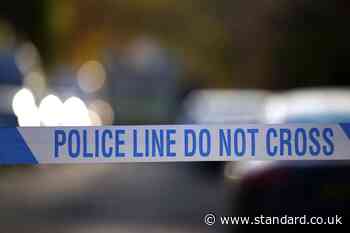 Police launch murder investigation after man shot dead in east London
