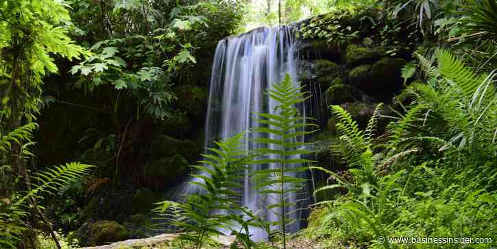I've lived in Florida for over 25 years. Skip the major cities and spend time in these 5 gorgeous state parks instead.
