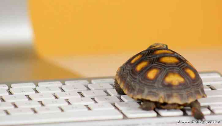Sponsor gives KDE Plasma 6.6 the LTS treatment