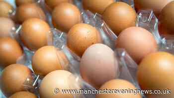 Deadly salmonella outbreak warning as hundreds fall ill from 'imported eggs', UKHSA confirms