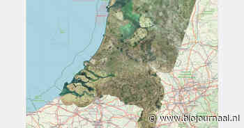 WUR: droogtestress grasland groter dan in droge zomer van 2022