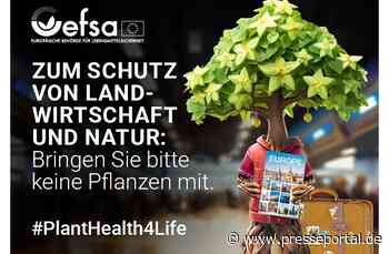 #PlantHealth4Life: Japankäfer auf dem Vormarsch: Experten warnen Reisende vor Einschleppung
