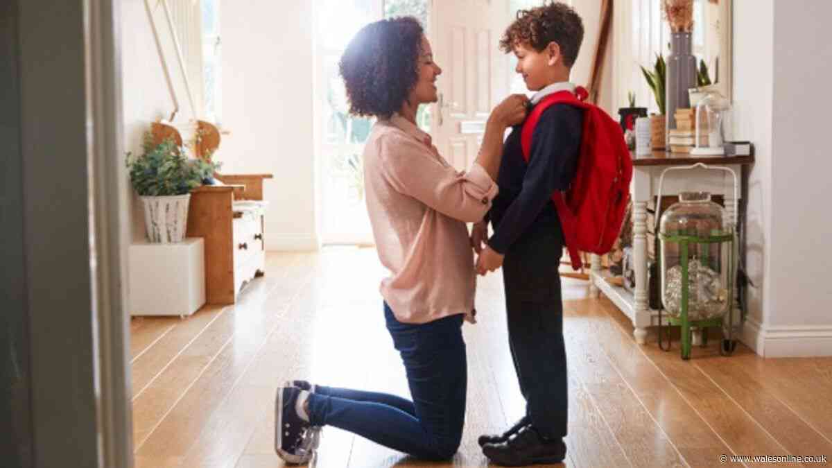 Get up to £200 from your council for school uniforms - check your area