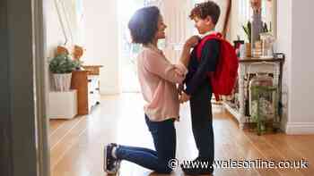 Get up to £200 from your council for school uniforms - check your area
