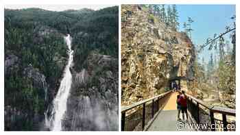 Search for B.C.'s best roadside attraction: Southwest B.C. finals