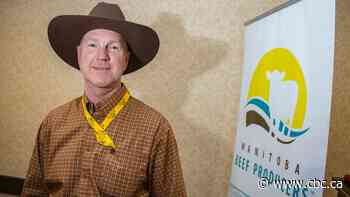 Recent cattle branding charges highlight role of Sask. RCMP's only livestock investigator