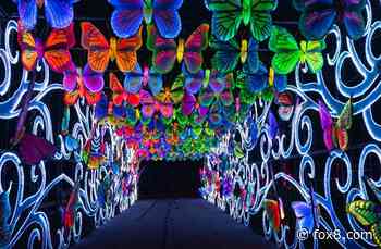 Asian Lantern Festival extended with drone finale at Cleveland Metroparks Zoo