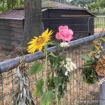Crowdfunding levert kinderboerderij in Olst ruim 8500 euro op na diefstal