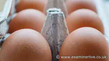 One dead and hundreds ill in UK-wide salmonella outbreak 'may be linked to eggs'
