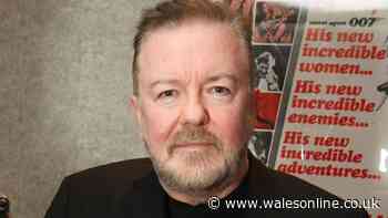 Ricky Gervais refuses to join Celebrity Traitors despite being ‘top of wish list’