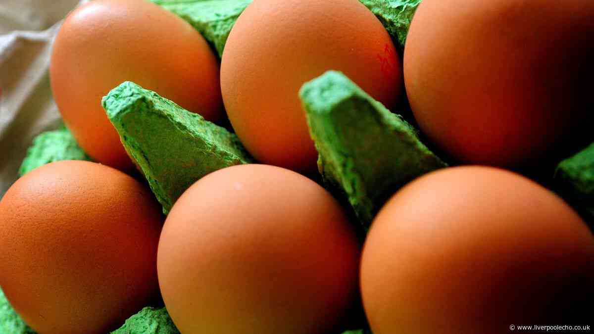 UKHSA issues egg warning after person dies from salmonella