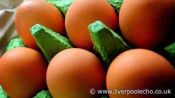UKHSA issues egg warning after person dies from salmonella