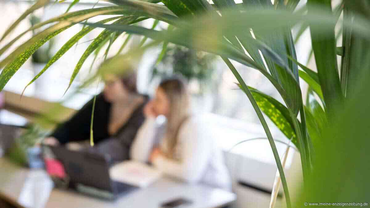 Was hilft mir, nach dem Urlaub wieder im Job anzukommen?