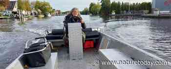 Vrijwilliger in beeld: Beatrice Mantel