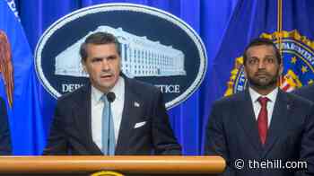 DOJ moves to restore gun rights for some convicted of felonies 