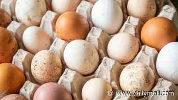Egg warning: Major salmonella outbreak leaves one dead and 200 sickened - here's how to tell if yours are safe