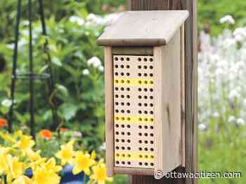 Houseworks: Build a small house for hard-working bees 