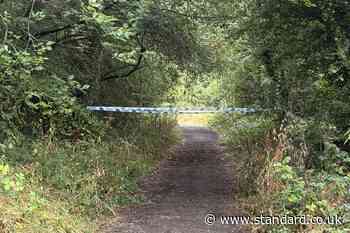Owner’s dog fatally bit man on path after ‘right of way’ argument, court told