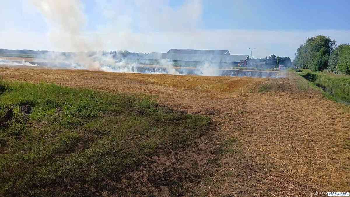 ‘Boeren kunnen helpen bij voorkomen en bestrijden natuurbranden’