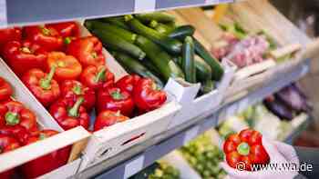Dürre vernichtet Millionen Tonnen Ernte – Verbraucher spüren es jetzt an der Supermarktkasse