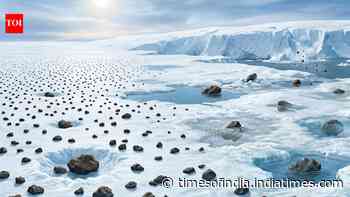 Antarctica holds more than 60% of Earth’s meteorites, but warming could hide thousands in ice