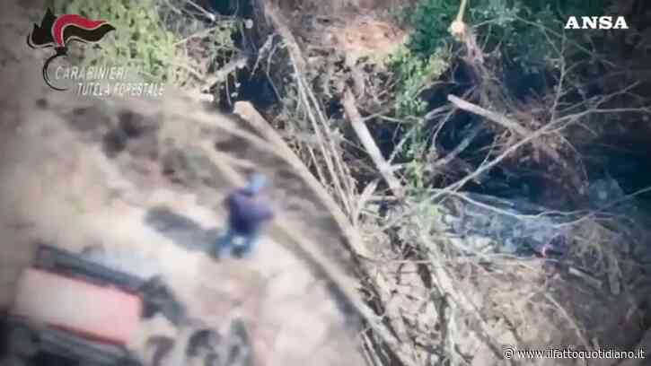 Così un drone ha intercettato un piromane, agricoltore arrestato dai carabinieri