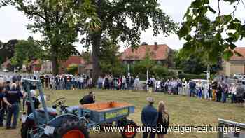 Sieben Linden für Räbke: Historischer Ort im Kreis Helmstedt in neuem Glanz