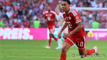 Sky-Experte Hamann macht Bayern-Star Musiala Druck