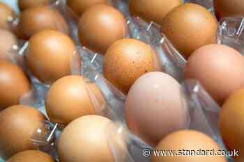 Salmonella outbreak may be linked to imported eggs, say health officials