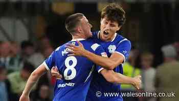 Cardiff City fans shown exactly what transfer strategy is as new star turns heads
