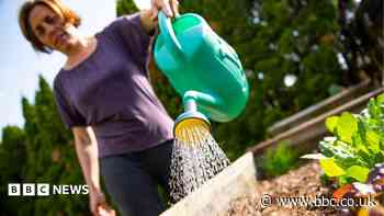 Area put under hosepipe ban with immediate effect