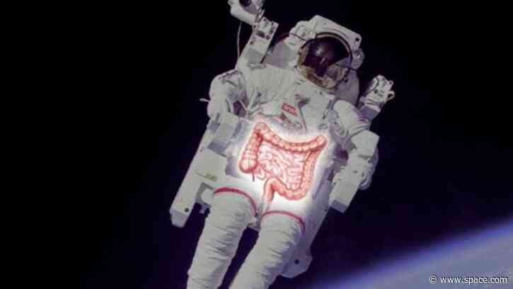It's harder to poop in space. Scientists may finally know why