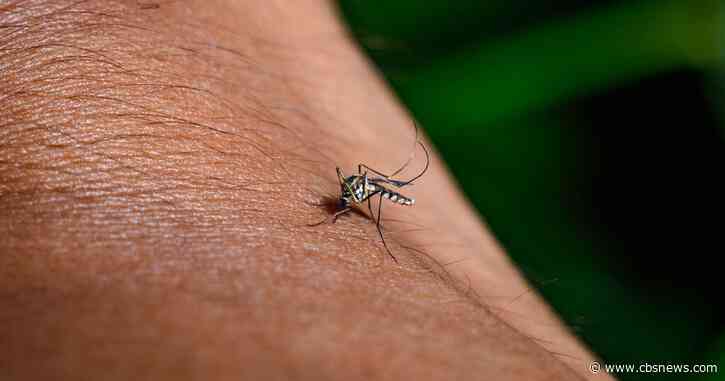 West Nile virus detected in more DeKalb County mosquito traps