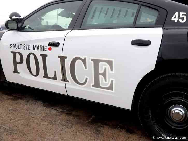 Items taken from shed of McNabb Street business: POLICE