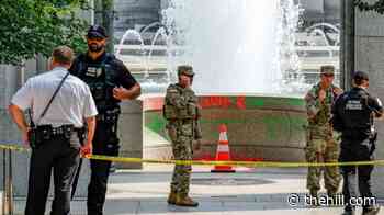 Judge orders release of woman accused of WWII Memorial vandalism