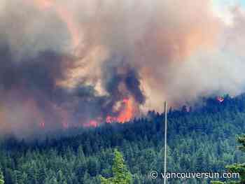 Fast-moving wildfires reshaping B.C.’s forests, new study finds