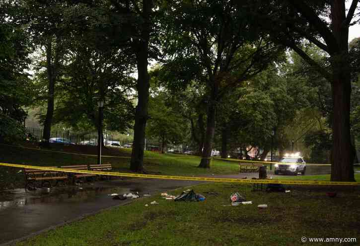 Woman stabbed to death in Brooklyn park, suspect at large