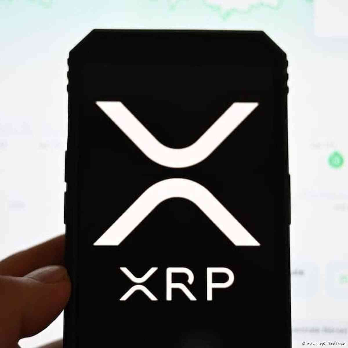 XRP-miljonairs zijn terug: 'transacties exploderen met 280% in 24 uur'