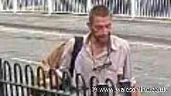 Appeal after man seen kneeing dog more than 10 times