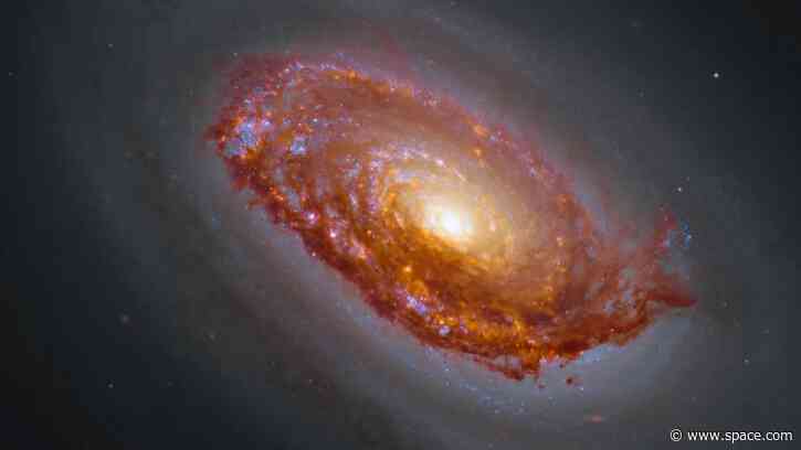 Hubble, James Webb team up to capture the 'Black Eye Galaxy' | Space photo of the day for Aug. 18, 2026