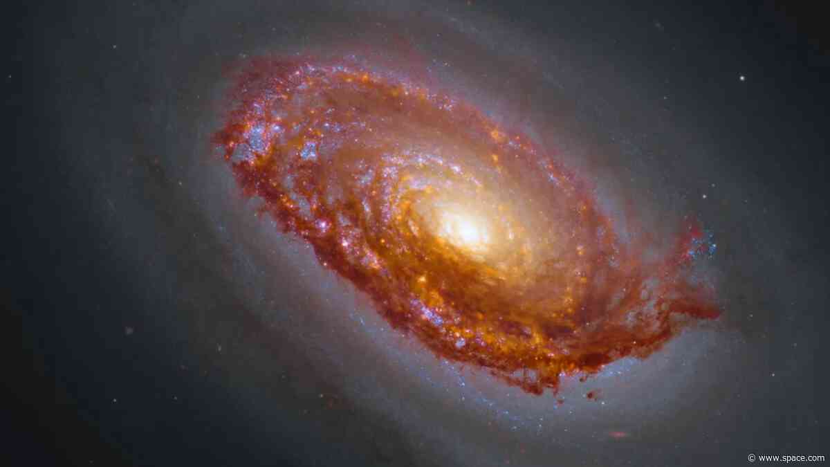 Hubble, James Webb team up to capture the 'Black Eye Galaxy' | Space photo of the day for Aug. 18, 2026