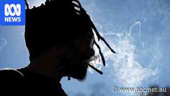 Cannabis use and psychosis are linked, but study finds age matters