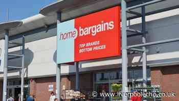 'Front of house looks beautiful' with 'stunning' £10 Home Bargains item that lasts