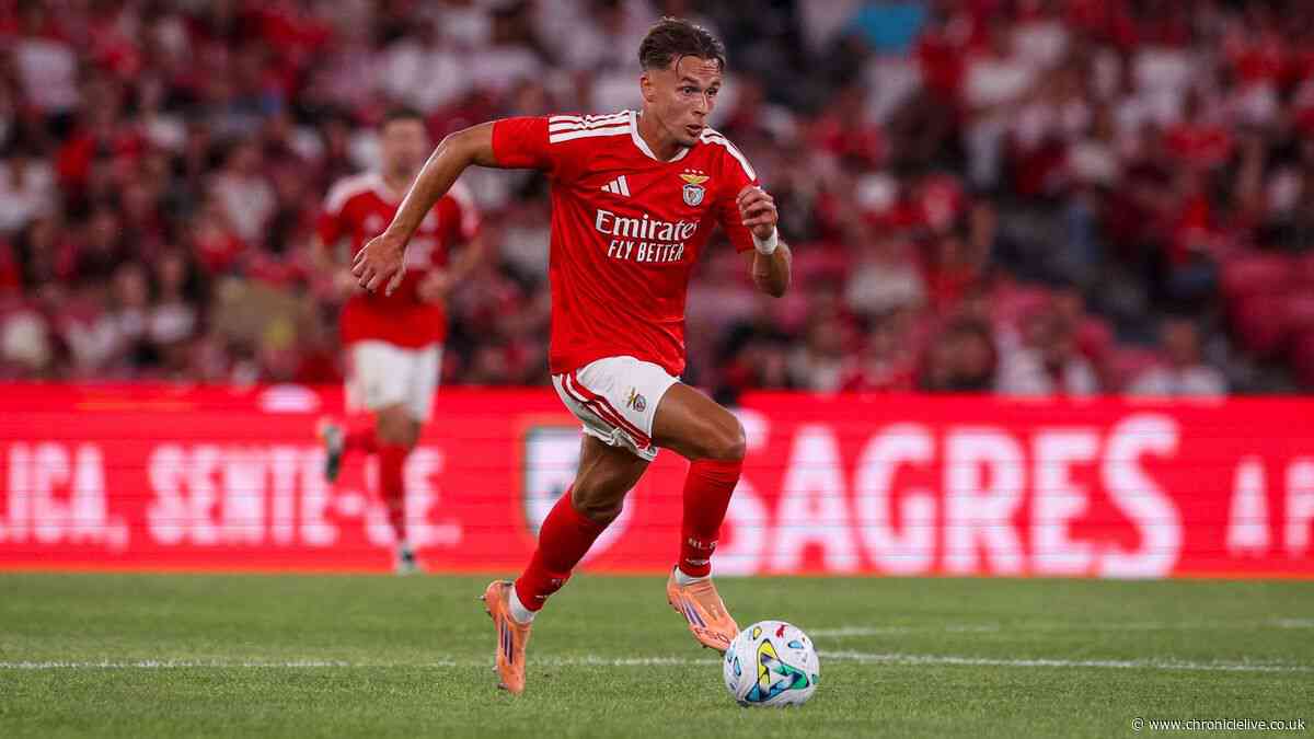 I watched Amar Dedic closely at Benfica – Newcastle new boy won fans over straightaway