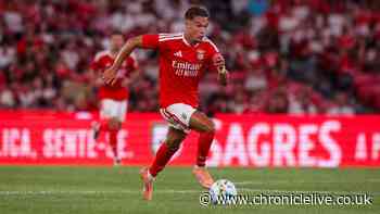 I watched Amar Dedic closely at Benfica – Newcastle new boy won fans over straightaway