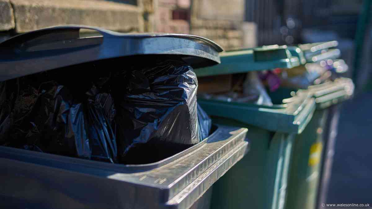 Binman settles debate on what to do with rubbish if your wheelie bin is full